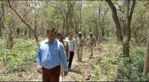 Forest Department Ramnagar