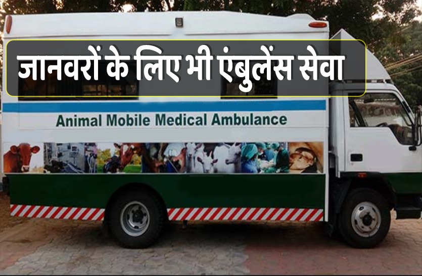 Ambulance For Animals In Uttarakhand