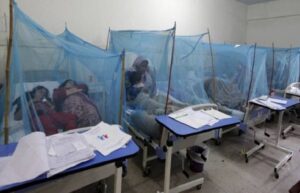 Dengue In Pakistan 2022 