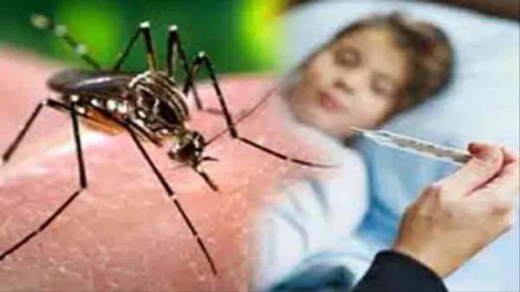 Dengue In Pakistan 2022