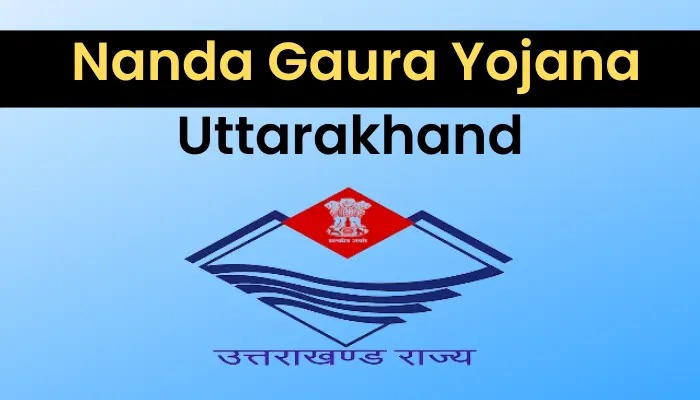 Scam On Nanda Gaura Yojana : नंदा गौरा योजना में धांधली,फर्जी आय प्रमाण पत्र से 193 लोगों ने लिया लाभ