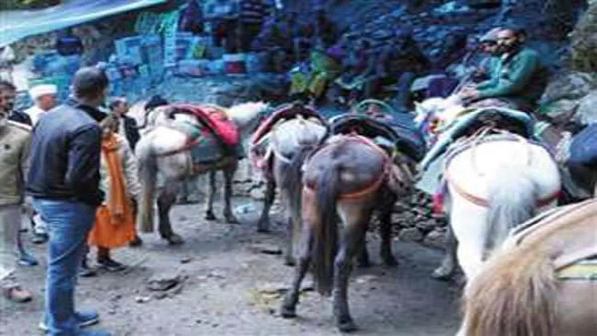 Mules Operators Blocked Highway : केदारनाथ हाईवे पर घोड़ा खच्चर संचालकों ने किया चक्काजाम, रोजगार की मांग